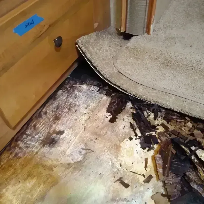 Wood Floor Water Damage in Elsberry, MO